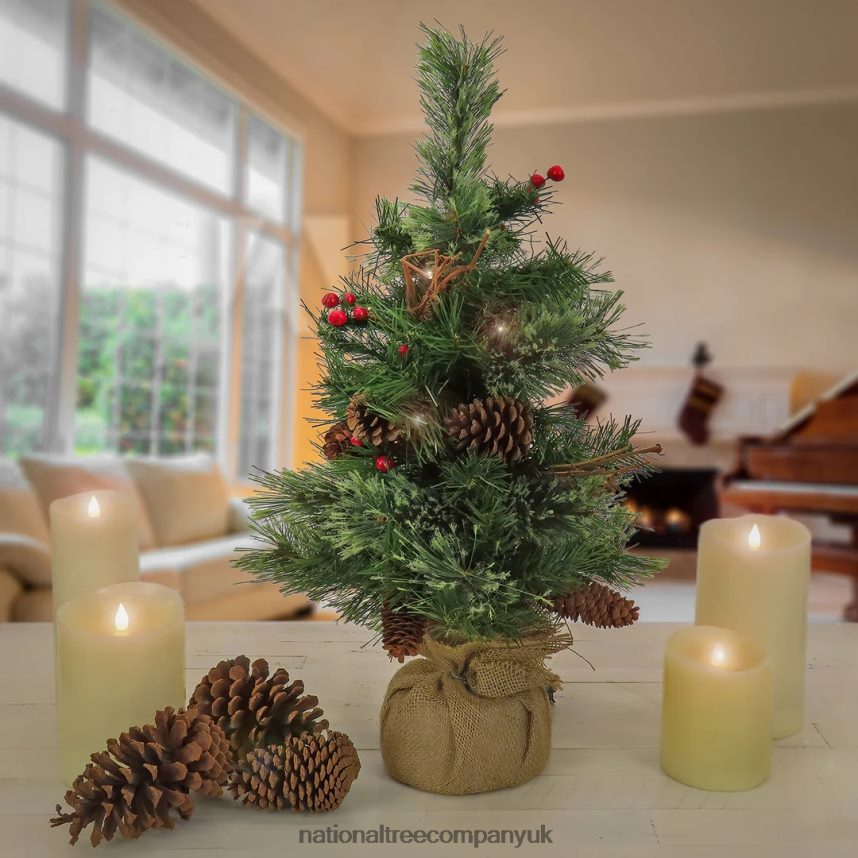 Trees | National Tree Company 24\ Glistening Pine Small Tree with Pine Cones Red Berries and Twigs in a Burlap Base- 15 Warm White LED Lights- Battery Operated with Timer F2L4F83